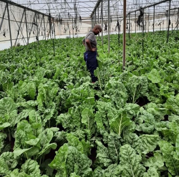 Farm Management