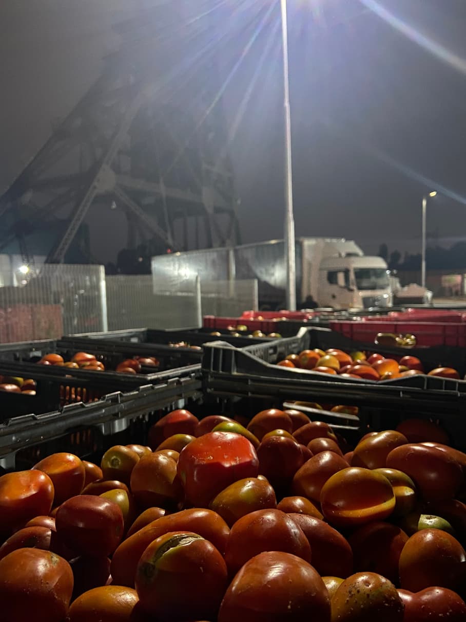 Produce at market