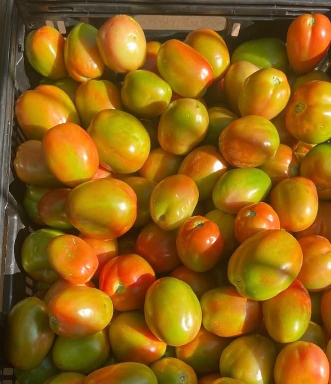 Fresh Produce